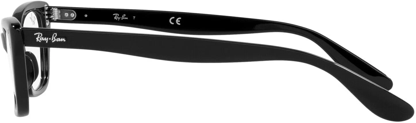 Оправа для очков Ray-Ban Lady Burbank RX 5499 2000