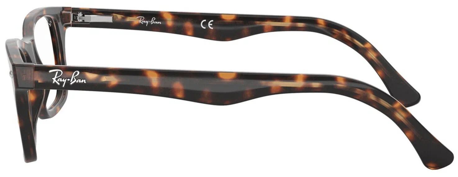 Оправа для очков Ray-Ban 5283 Icons Round 2000