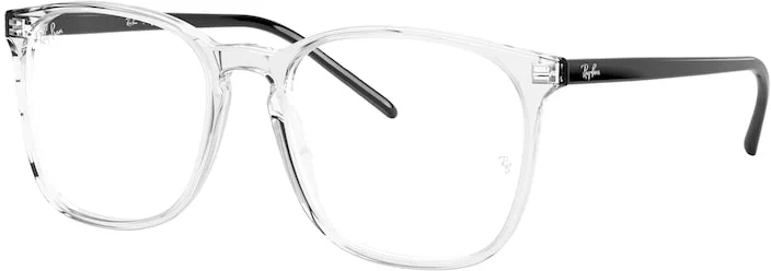 Оправа для очков Ray-Ban 0RX5387 / 52 5629