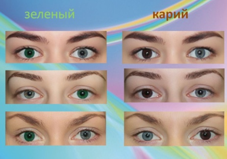 O2KSEE TONE 55 (1 ШТ)